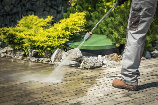 Best Animal Enclosure Cleaning  in Saddle Rock, NY